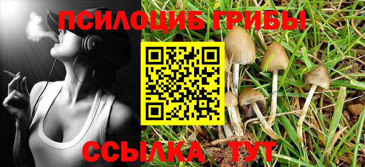 Галлюциногенные грибы Psilocybine cubensis Владивосток